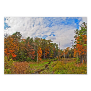 Northeast  Autumn Scene Photo Print