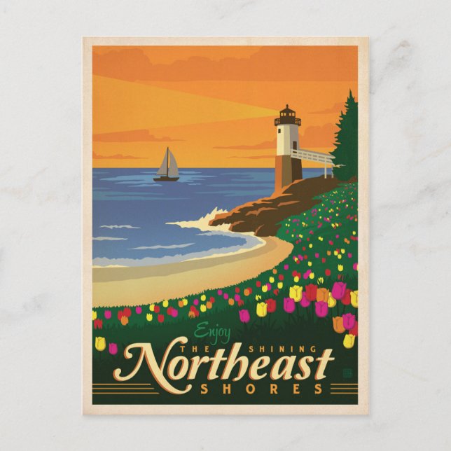 Northeast Shores | United States Postcard (Front)