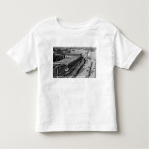 Northeast View of Main St from Baker Bldg Toddler T-Shirt