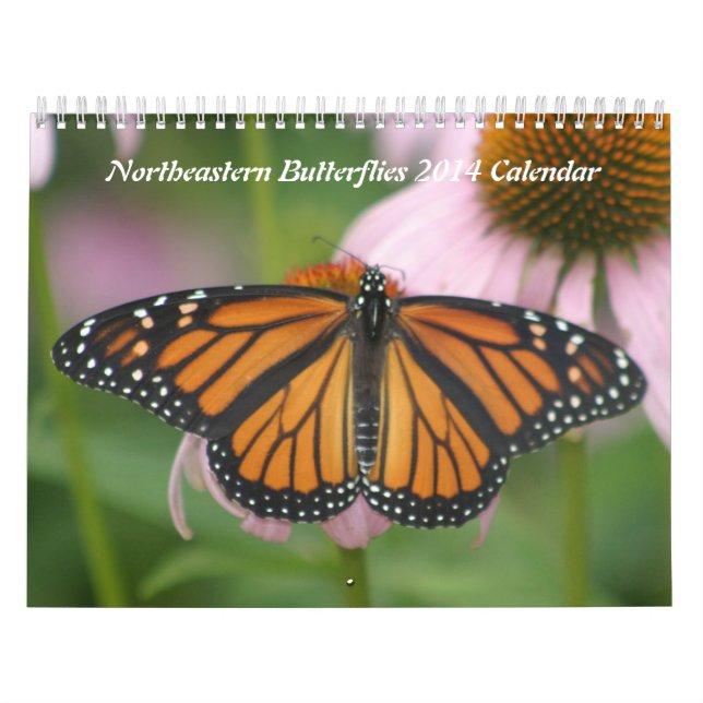 Northeastern Butterflies 2019 Calendar (Cover)