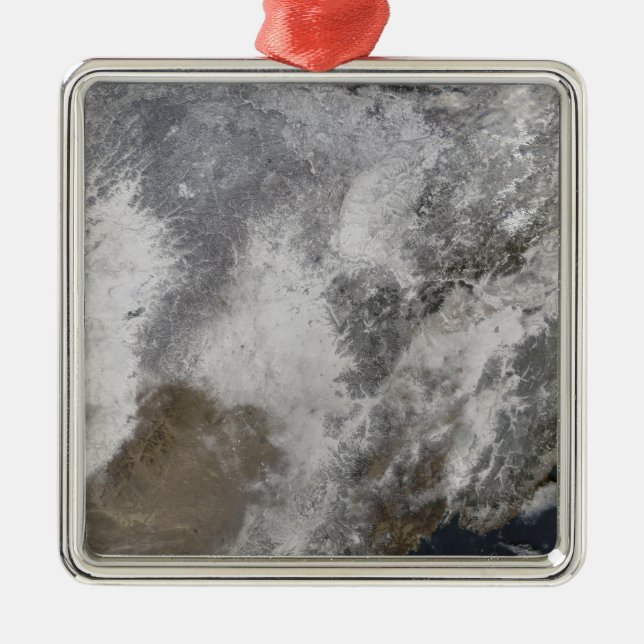 Northeastern China Metal Tree Decoration (Front)