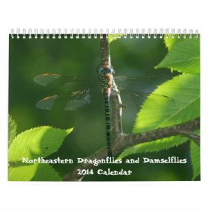 Northeastern Dragonflies Damselflies calendar