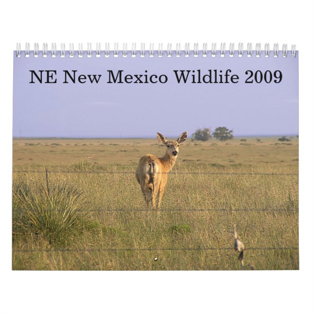 Northeastern New Mexico Wildlife 2009 Calendar (Cover)