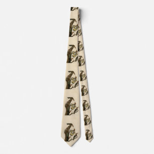 Norther Flicker from Audubon's Birds of America  Tie