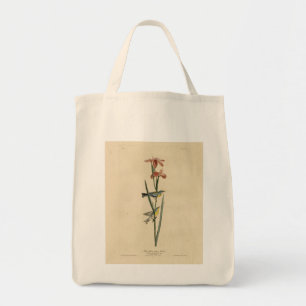 Norther Parula from Audubon's Birds of America Tote Bag