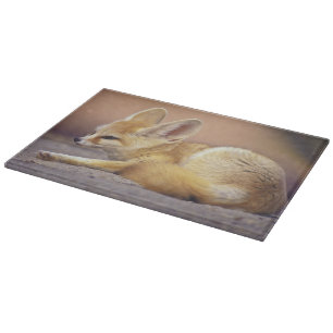 Northern Africa. Fennec Fennecus zerda) Cutting Board