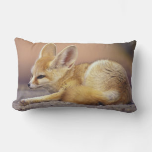 Northern Africa. Fennec Fennecus zerda) Lumbar Cushion