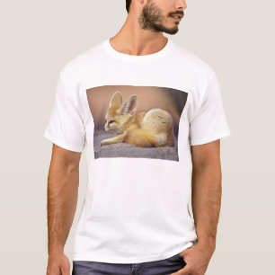 Northern Africa. Fennec Fennecus zerda) T-Shirt