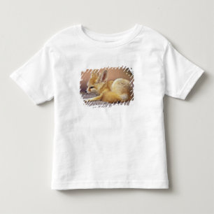 Northern Africa. Fennec Fennecus zerda) Toddler T-Shirt