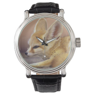 Northern Africa. Fennec Fennecus zerda) Watch