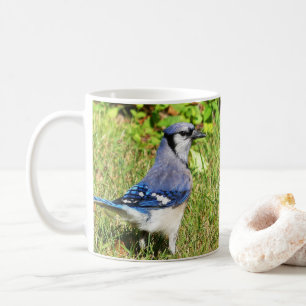 Northern Blue Jay Coffee Mug
