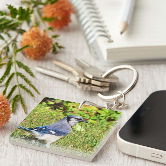 Northern Blue Jay Key Ring (Front Right)