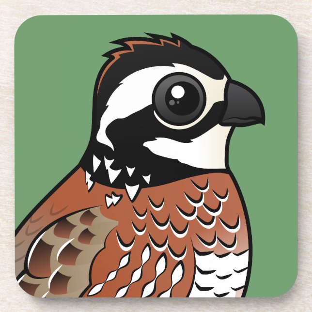 Northern Bobwhite Coaster (Front)