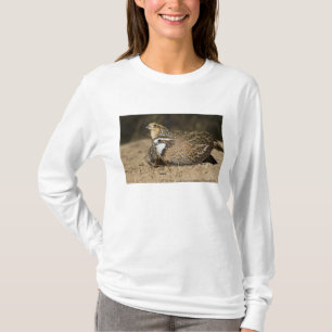 Northern Bobwhite quail babies at pond for drink T-Shirt