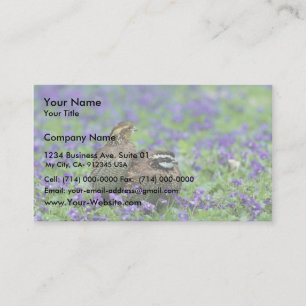 Northern bobwhite quail business card
