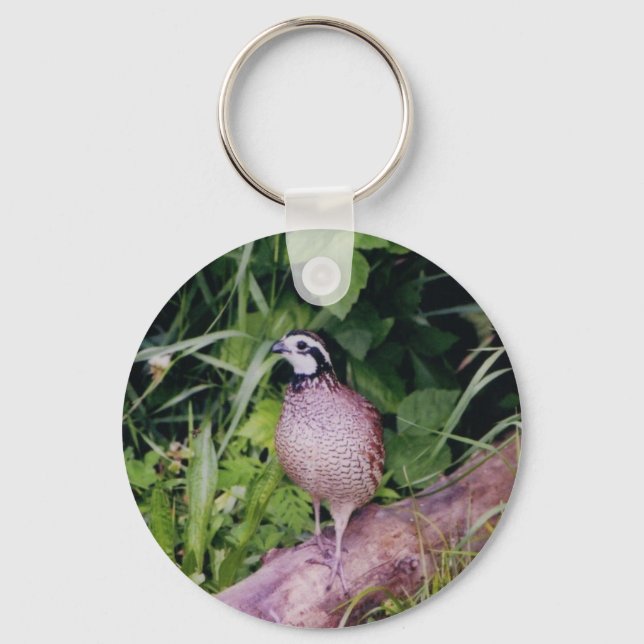Northern Bobwhite Quail Key Ring (Front)