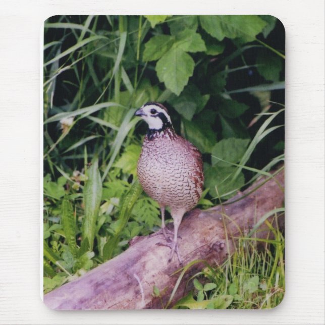 Northern Bobwhite Quail Mouse Pad (Front)