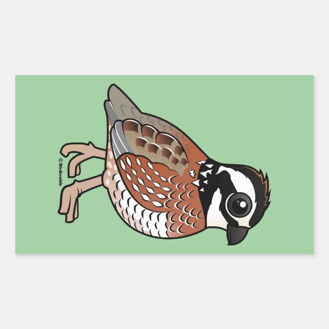 Northern Bobwhite Rectangular Sticker (Front)