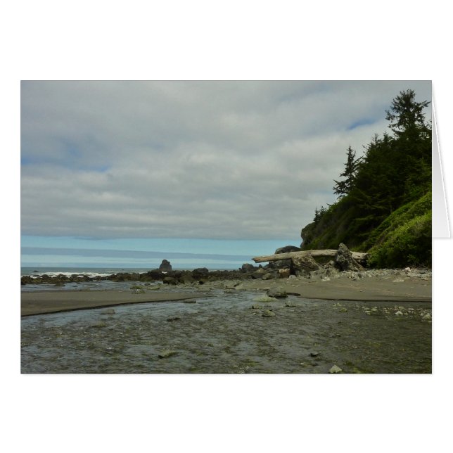 Northern California Coastline from Redwood Park (Front Horizontal)
