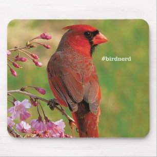 Northern Cardinal 2 Mouse Pad