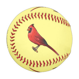 Northern cardinal bird cartoon illustration baseball