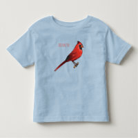 Northern cardinal bird cartoon illustration