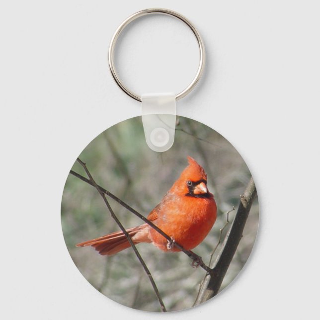 Northern Cardinal Bird Keychain (Front)