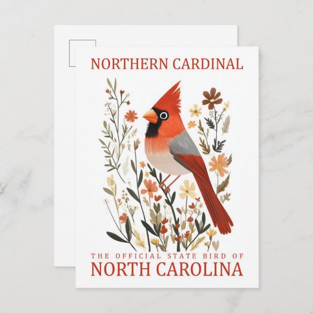 Northern Cardinal Bird of North Carolina USA Postcard (Front/Back)