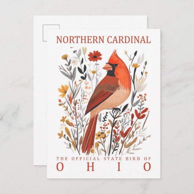 Northern Cardinal Bird of Ohio USA Postcard (Front/Back)