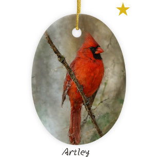Northern Cardinal Bird Painting Year Christmas Ceramic Ornament