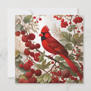 Northern Cardinal Bird Red Berries