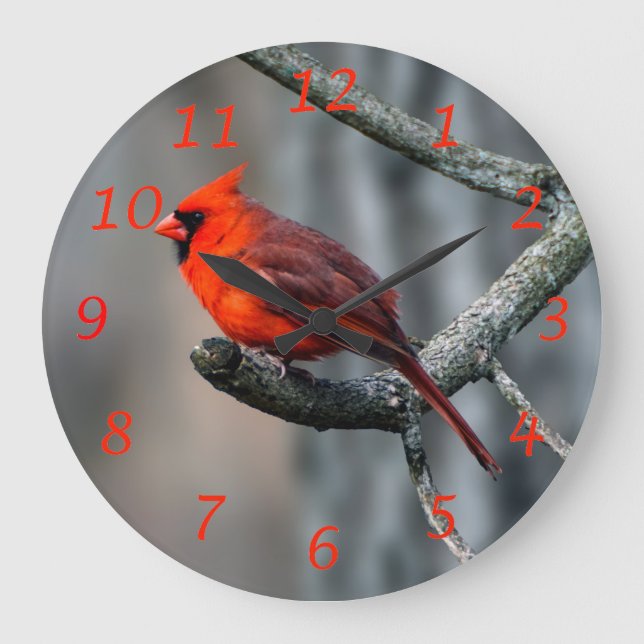 Northern Cardinal Bird Wall Clock (Front)