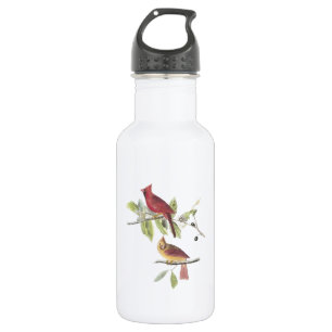 Northern Cardinal by Audubon 532 Ml Water Bottle
