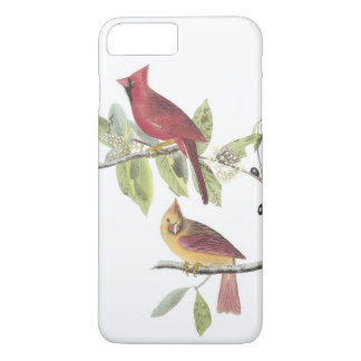 Northern Cardinal by Audubon iPhone 8 Plus/7 Plus Case