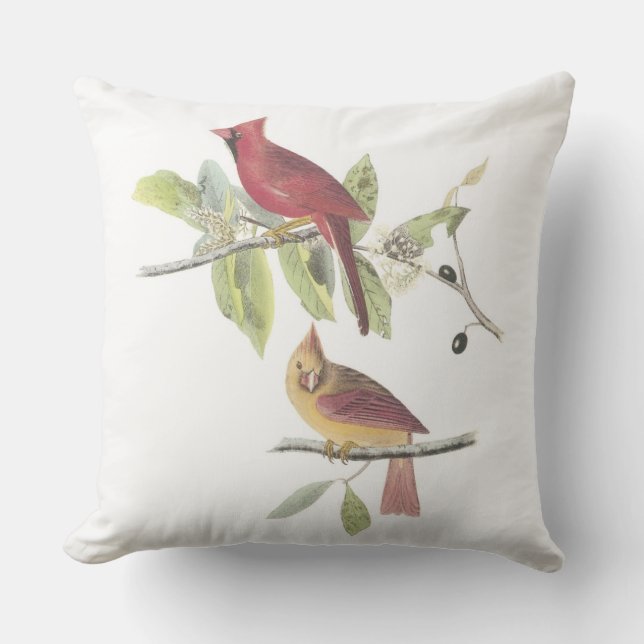 Northern Cardinal by Audubon Outdoor Cushion (Front)
