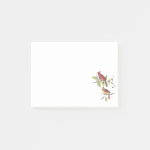 Northern Cardinal by Audubon Post-it Notes