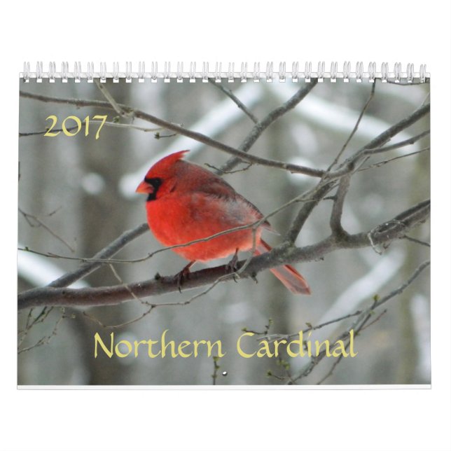 Northern Cardinal Calendar (Cover)