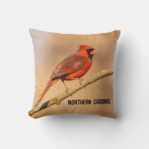 Northern Cardinal  Cushion