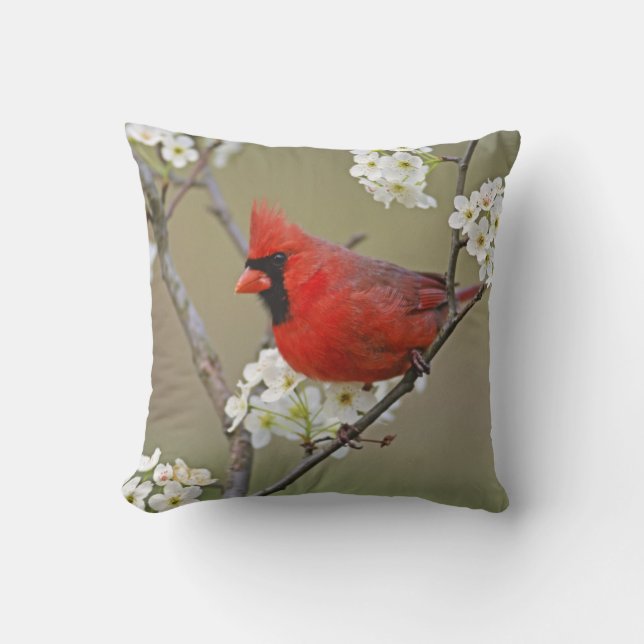 Northern Cardinal Cushion (Front)