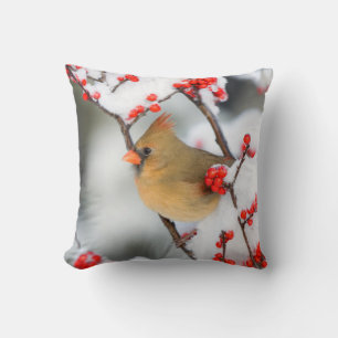 Northern Cardinal female on Common Winterberry Cushion