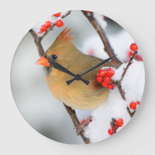 Northern Cardinal female on Common Winterberry Large Clock
