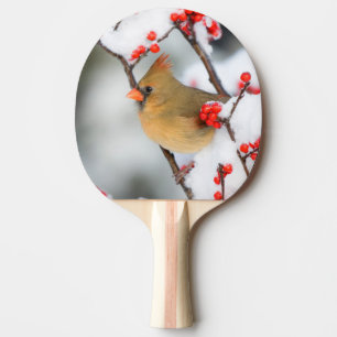 Northern Cardinal female on Common Winterberry Ping Pong Paddle