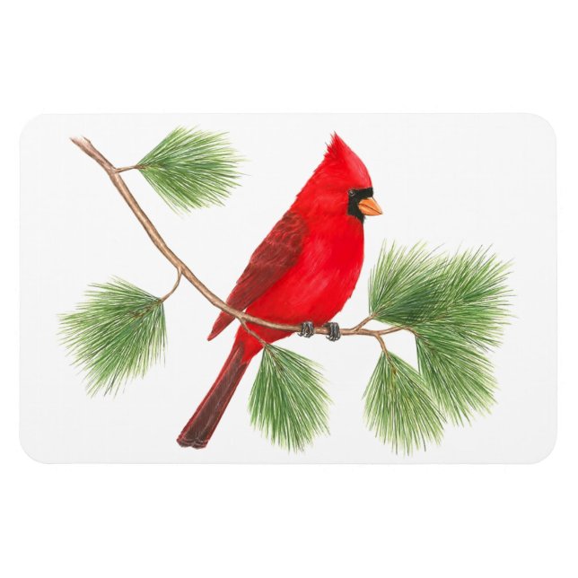 Northern Cardinal Flexi Magnet (Horizontal)