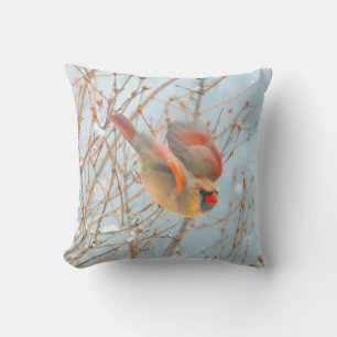 Northern Cardinal Flying - Original Photograph Cushion