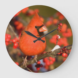 Northern Cardinal in Common Winterberry Large Clock