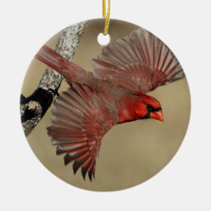 Northern Cardinal In Flight Ceramic Tree Decoration