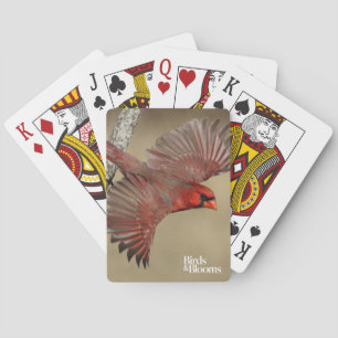 Northern Cardinal In Flight Playing Cards