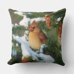 Northern Cardinal in tree, Illinois Cushion