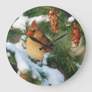 Northern Cardinal in tree, Illinois Large Clock