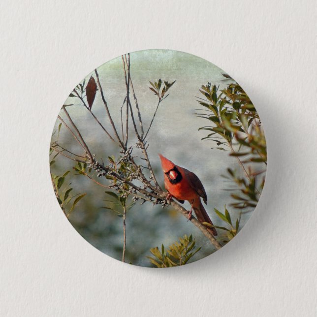 Northern Cardinal in Wax Myrtle 6 Cm Round Badge (Front)
